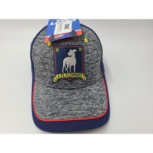 Ted Lasso AFC Richmond Snapback Hat Cap Soccer Club Baseball Men Women Gray Blue